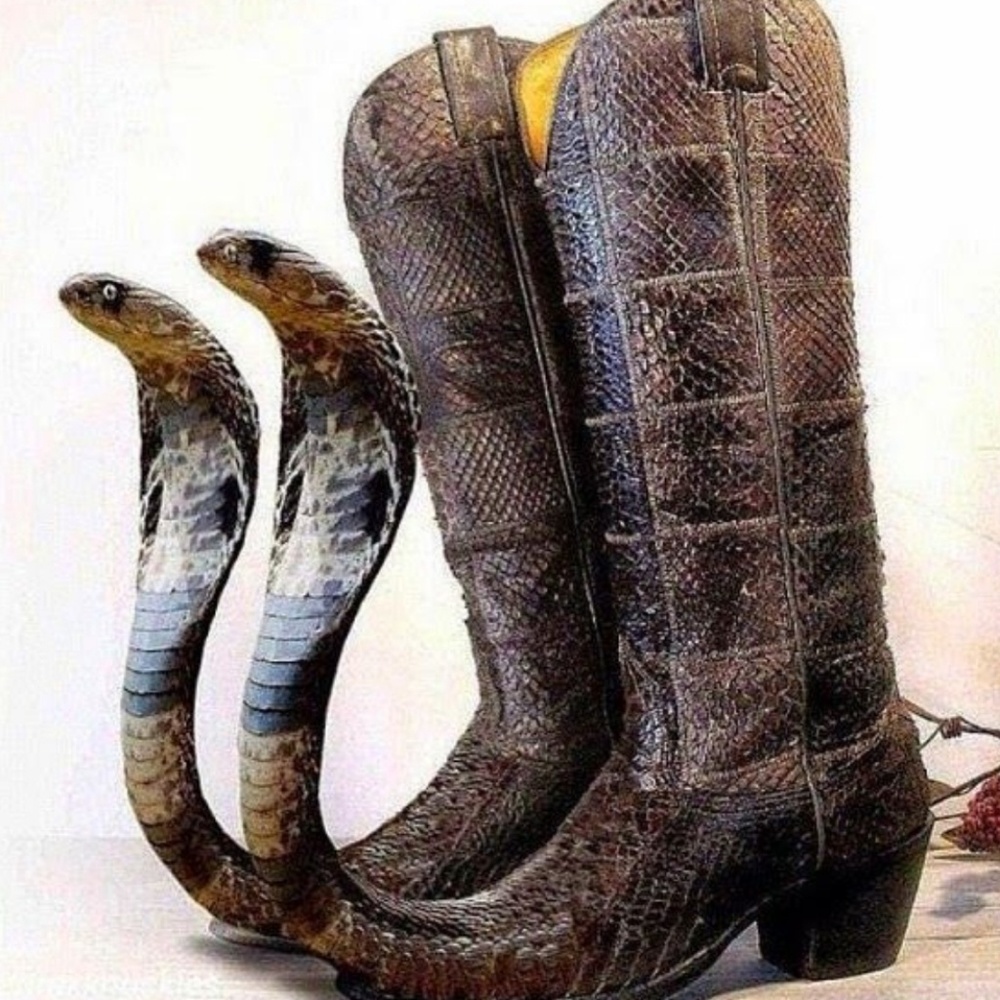 Meet your Posher, Faye